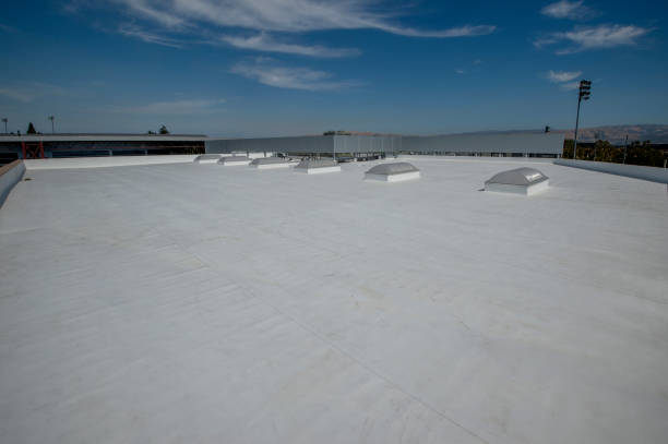 Best Rubber Roofing (EPDM, TPO)  in New York, NY