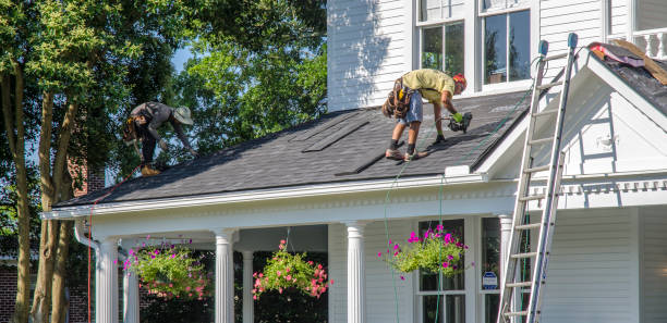 Best Roof Moss and Algae Removal  in New York, NY